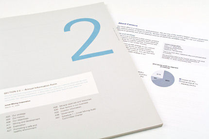 AnnualInformationForms